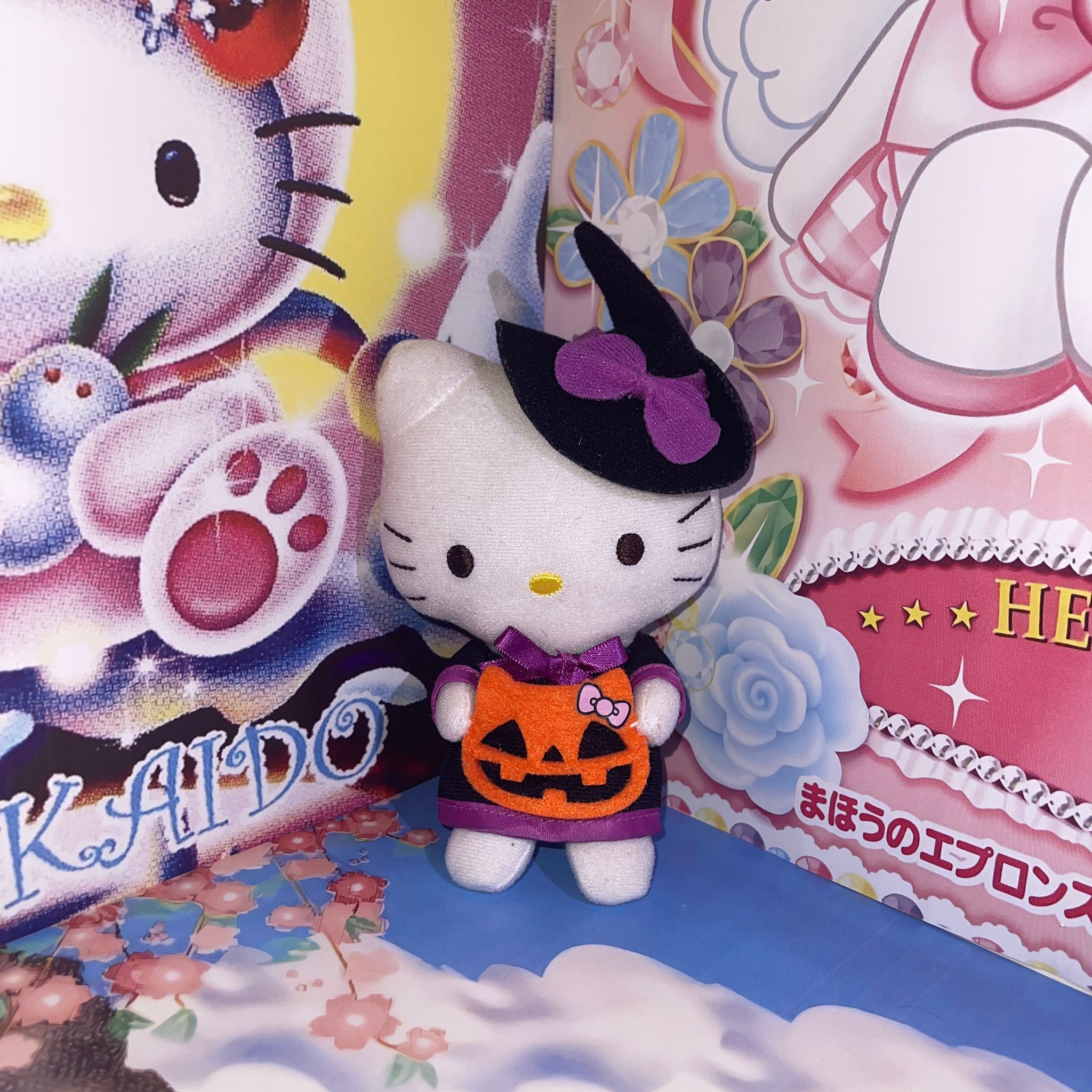 Hello Kitty Halloween Witch Plush 🧙🏻‍♀️