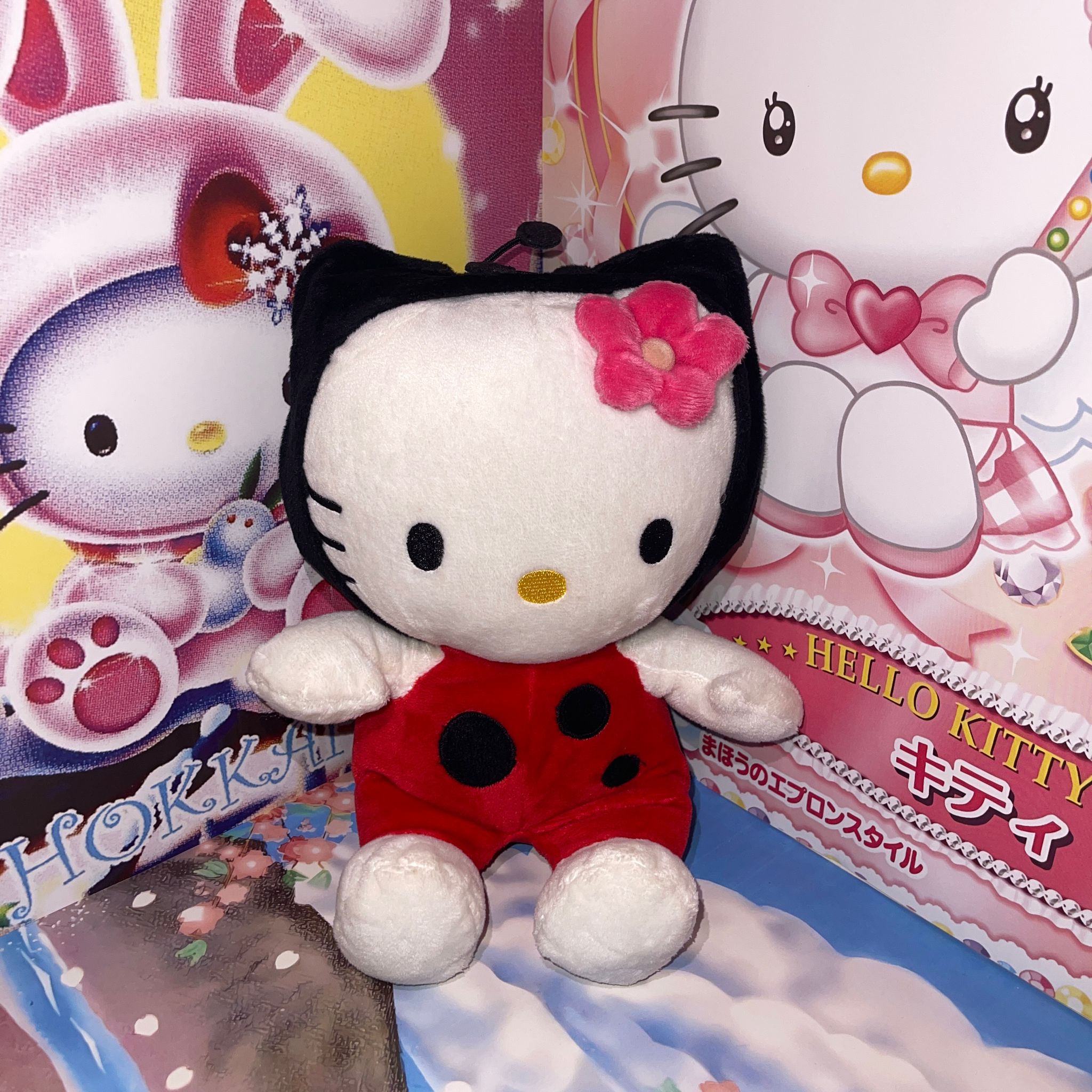 Hello Kitty Ladybug Plush 🐞